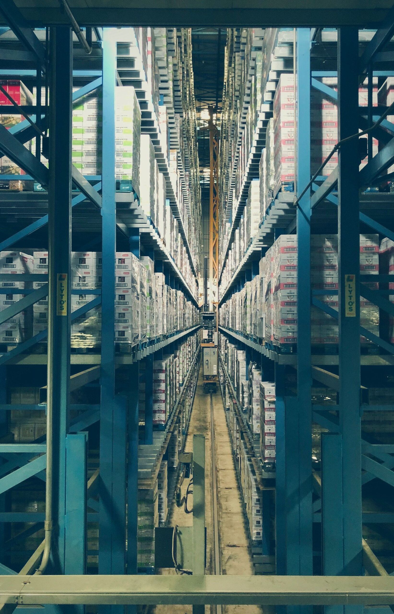 freepik-export-20250519184554XBce (1)